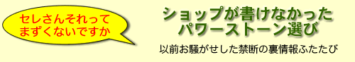 �V���b�v�������Ȃ������p���[�X�g�[���I�у��S
