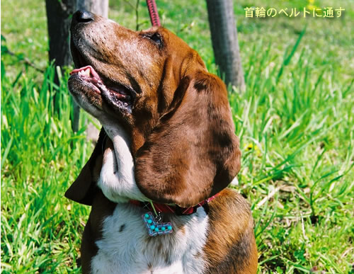 使い方例1